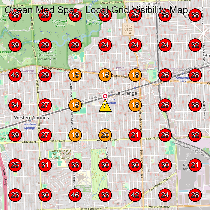 Ocean Med Spa GeoGrid visibility map for Day Care Center in Western Springs